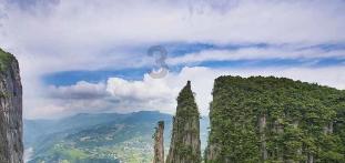 春雨直播app